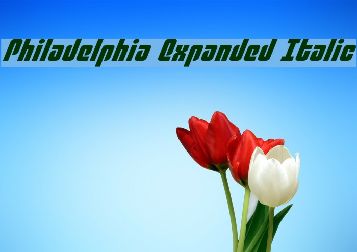Philadelphia Expanded Italic Font examples