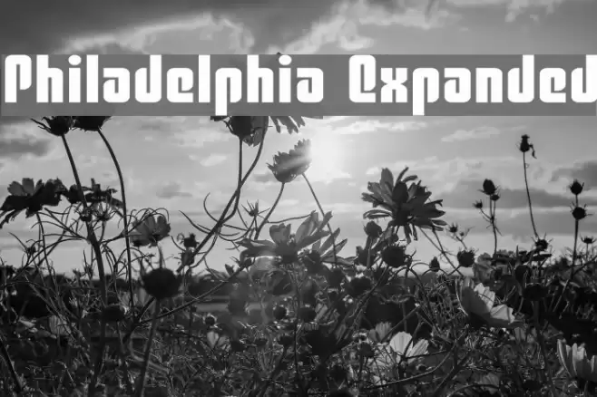 Philadelphia Expanded Font examples