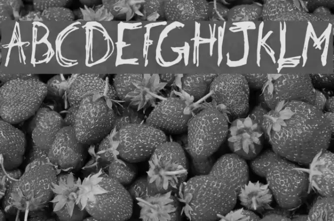 Philip' Signature Font examples