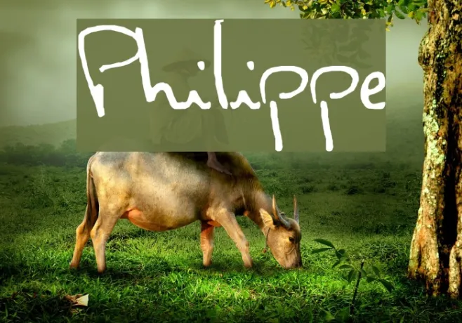 Philippe Example 1