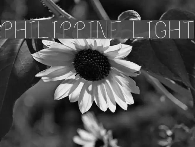 Philippine Light フォント examples
