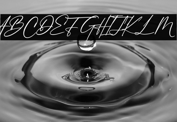 Philips Dutcher Example 2