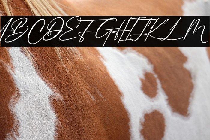 Philips Dutcher Example 3