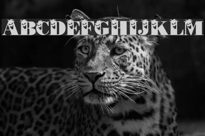 PhilliBoo Font examples