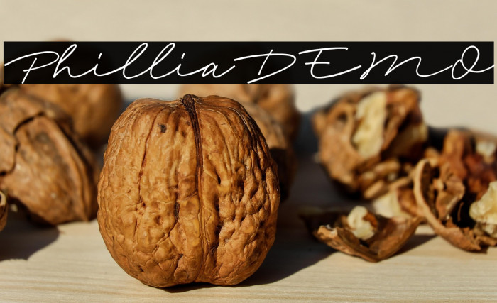 PhilliaDEMO Example 1