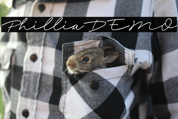 PhilliaDEMO Example 2