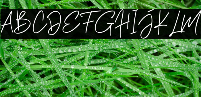 Phillips Muler Signature Font examples