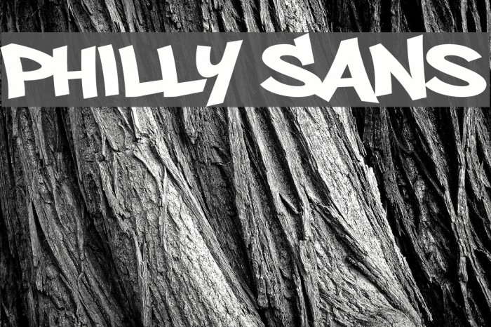 Philly Sans Font examples