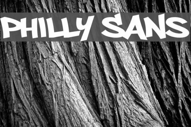 Philly Sans Polices examples