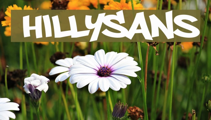PhillySans Font examples