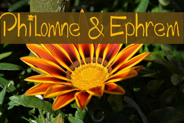 Philomne & Ephrem フォント examples