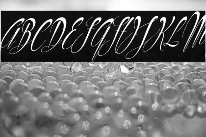 Philoshopy-Italic Font examples