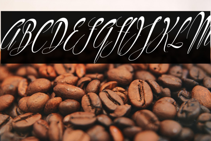 Philoshopy-Italic Example 3