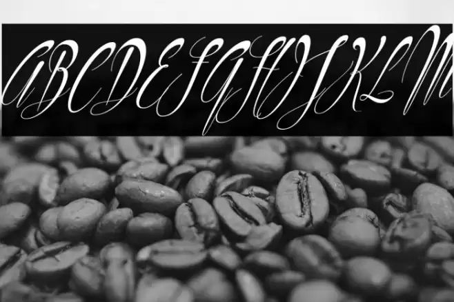 Philoshopy-Italic Font examples