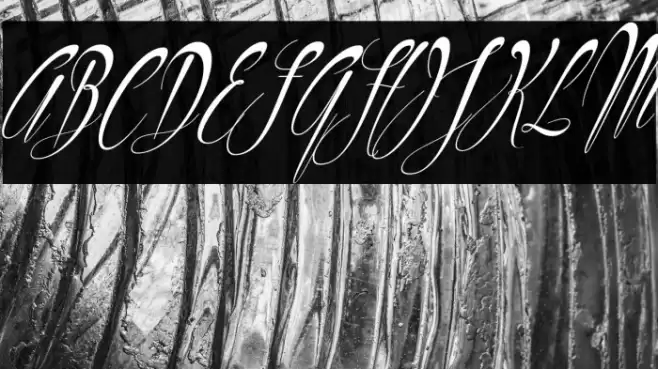 Philoshopy-Italic Font examples