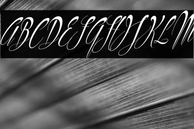 Philoshopy-Italic Font examples