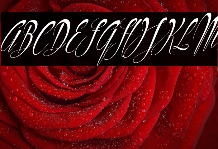 Philoshopy-Italic Example 3