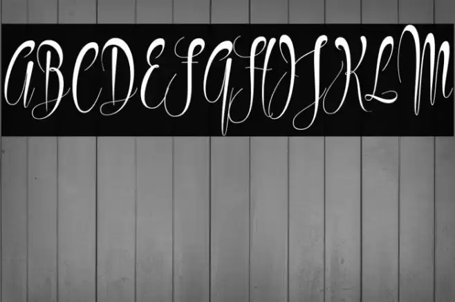 Philoshopy Font examples