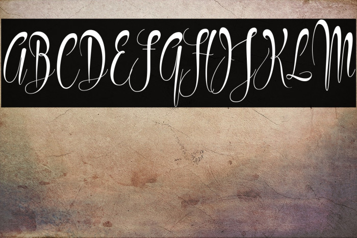 Philoshopy Example 3