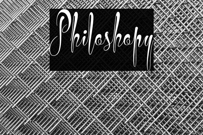 Philoshopy Example 2