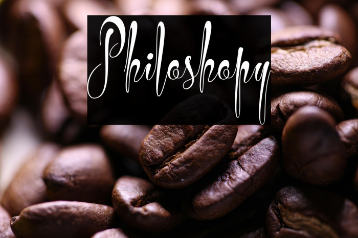 Philoshopy Example 3