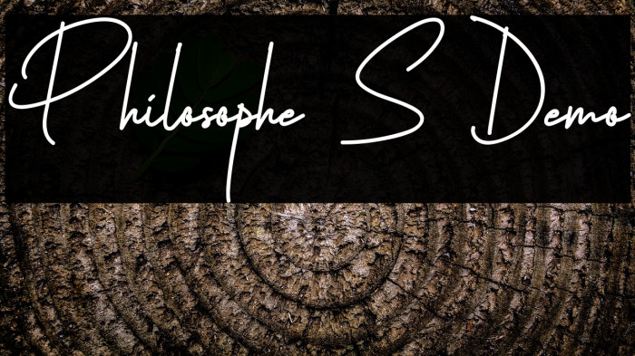 Philosophe S Demo Example 2