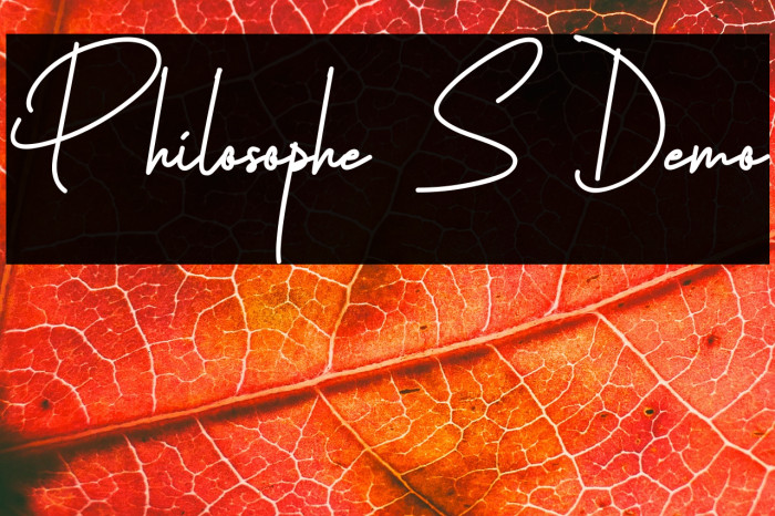 Philosophe S Demo Example 3