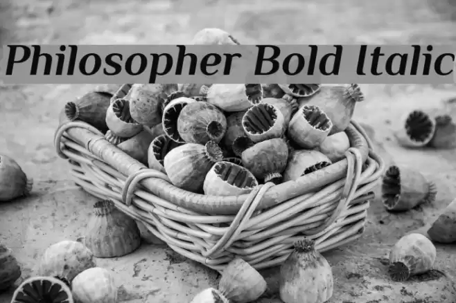 Philosopher Bold Italic Font examples