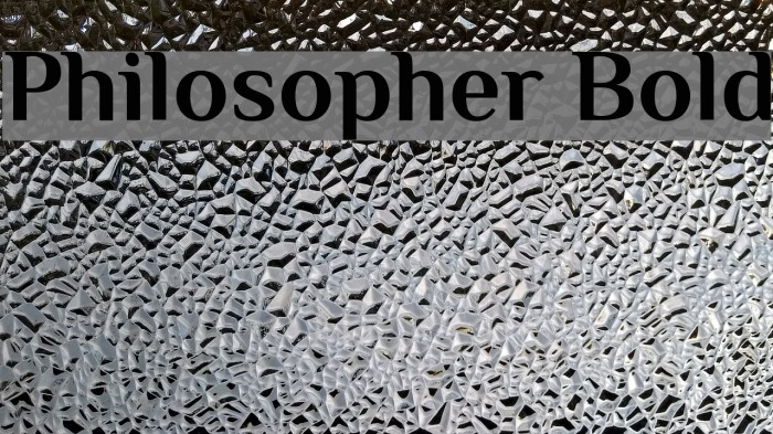 Philosopher Bold Font examples
