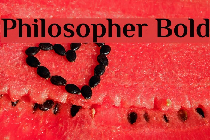 Philosopher Bold Font examples
