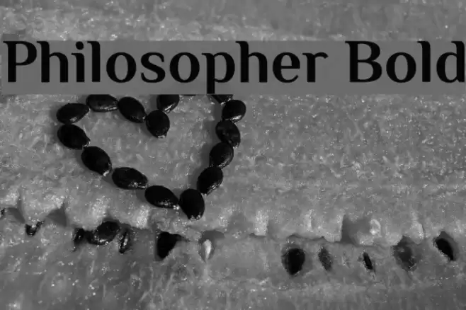 Philosopher Bold フォント examples