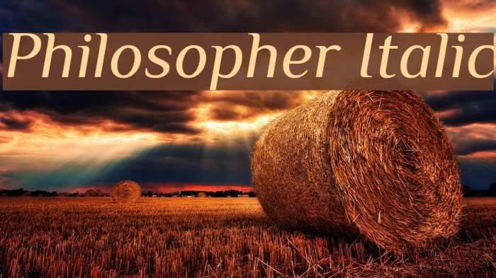 Philosopher Italic Font examples