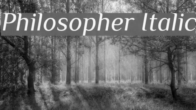 Philosopher Italic Font examples