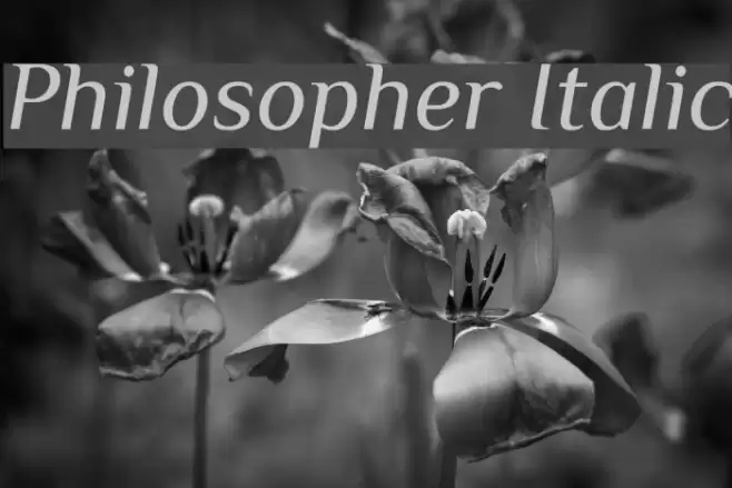 Philosopher Italic Font examples