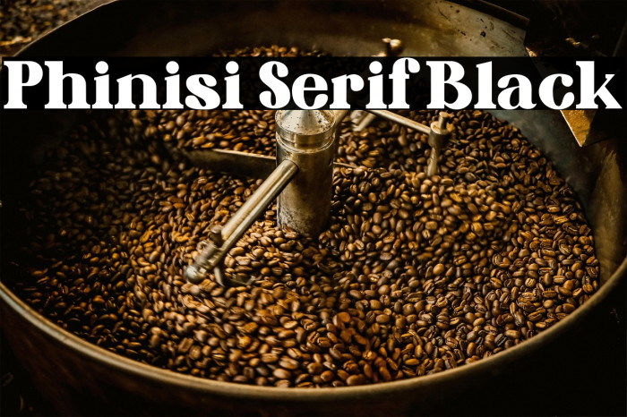 Phinisi Serif Black Example 1