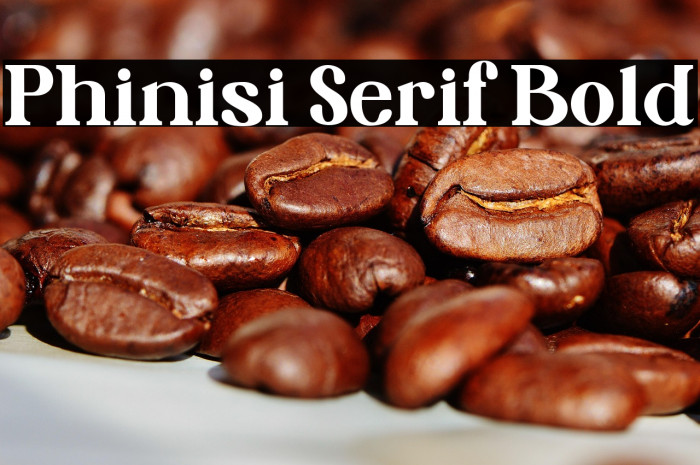Phinisi Serif Bold Example 3
