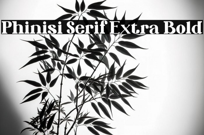 Phinisi Serif Extra Bold Example 3
