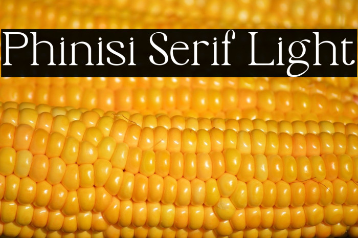 Phinisi Serif Light Example 1