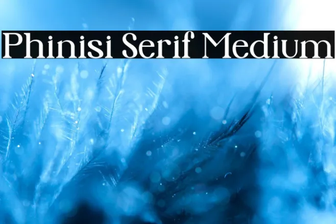 Phinisi Serif Medium Example 3