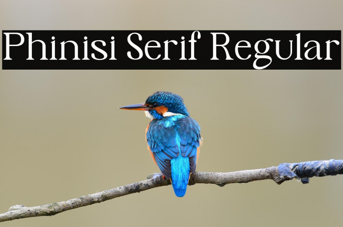 Phinisi Serif Regular Example 1