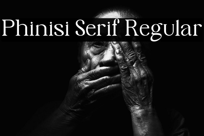 Phinisi Serif Regular Example 2