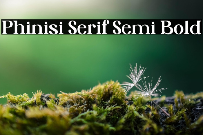 Phinisi Serif Semi Bold Example 2