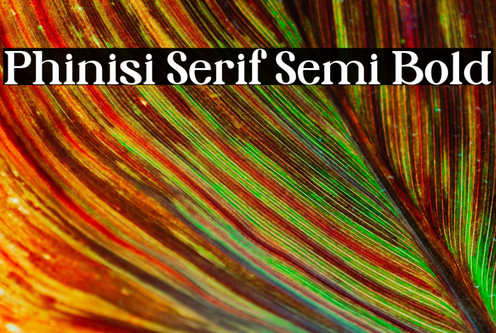 Phinisi Serif Semi Bold Example 3