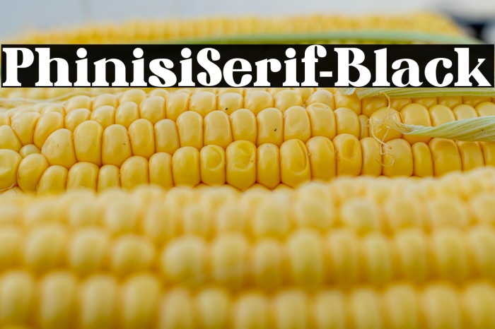 PhinisiSerif-Black Example 3