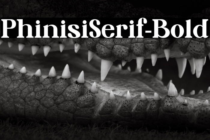 PhinisiSerif-Bold Example 3