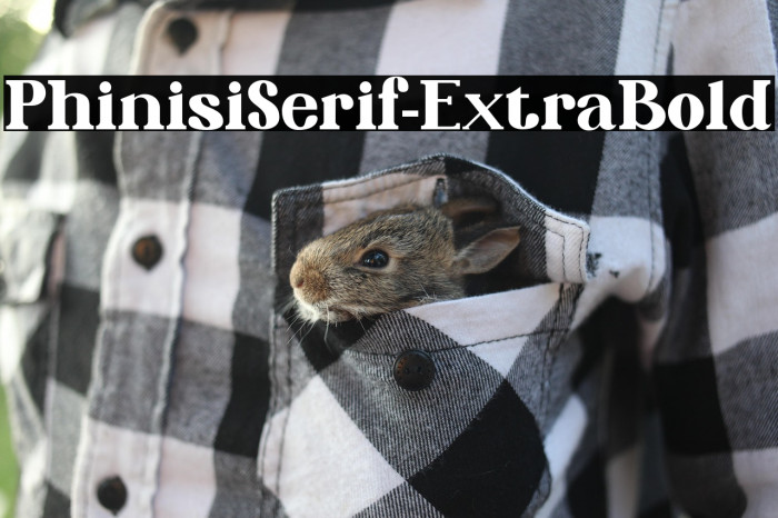 PhinisiSerif-ExtraBold Example 2