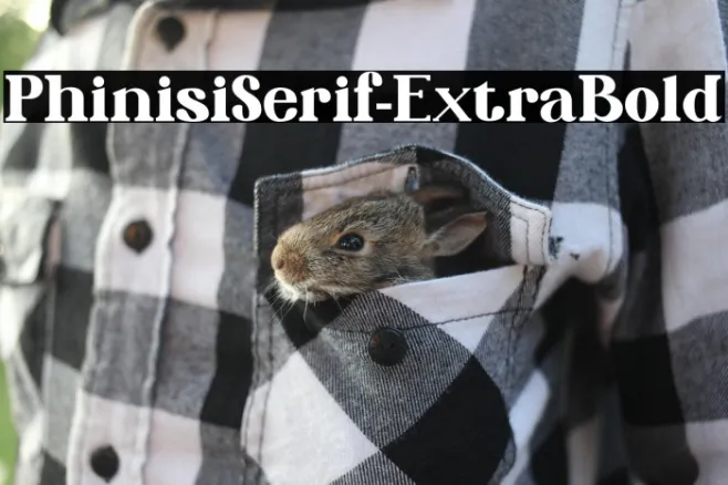 PhinisiSerif-ExtraBold Example 2