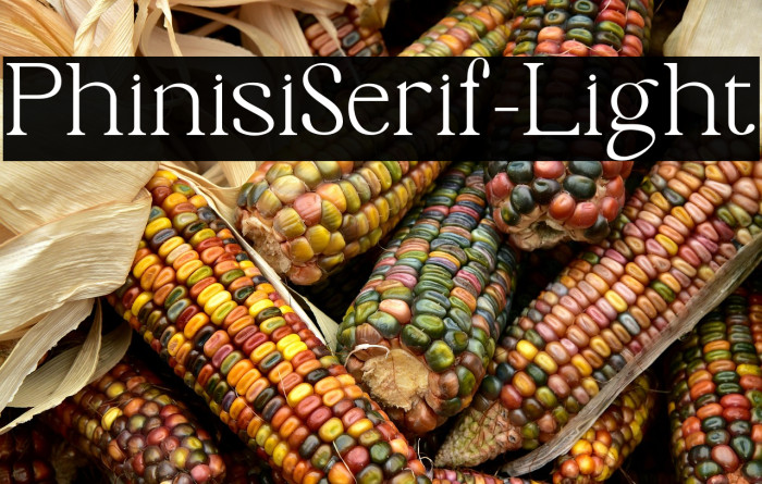 PhinisiSerif-Light Example 1