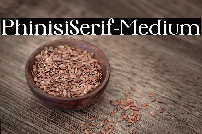 PhinisiSerif-Medium Example 1