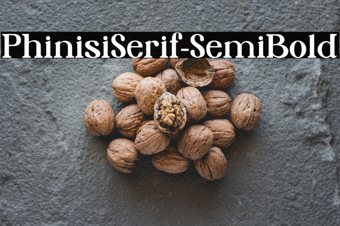 PhinisiSerif-SemiBold Example 2